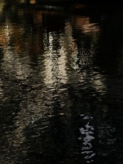 reflection in water