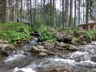 The wild river on mountains. Ukrainian Carpathians. Ukrainian mountains