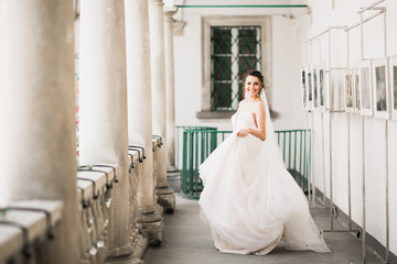 Fototapeta premium Beauty portrait of bride wearing fashion wedding dress with feathers with luxury delight make-up and hairstyle