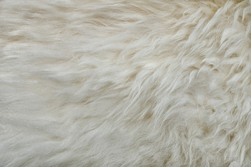 abstract background of warm artificial white fur on a knitted base close up