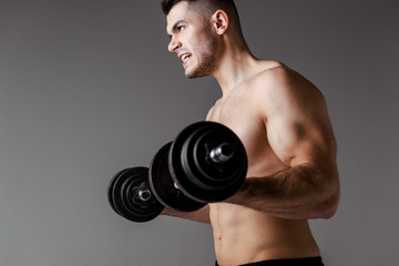 Fototapeta na wymiar sexy muscular bodybuilder with bare torso exercising with dumbbells isolated on grey