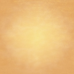 light brown canvas papyrus background texture