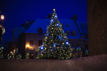 sapin de noel dans une rue 