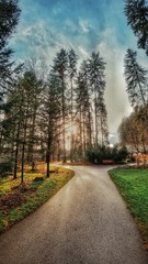 nature