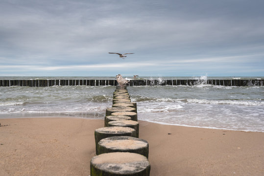 Wooden breakwater and Baltic Sea on a cloudy day in Poland, Europe