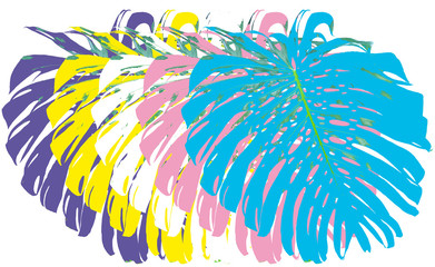 Feuilles couleurs de philodendron 