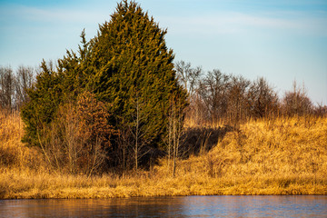 autumn landscape with trees and lake