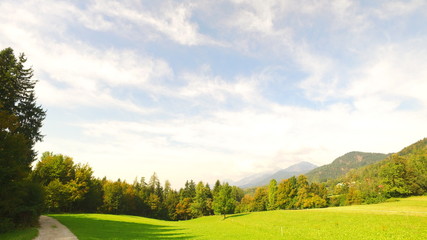 Green grass close up in the mountains.