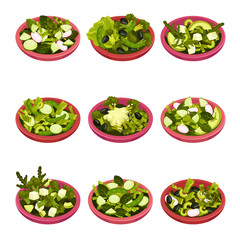 Bowl of Salad with Greenery Vector Set