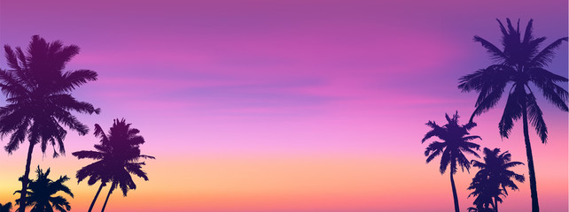 Fototapeta na wymiar Dark palm trees silhouettes on sunset or sunrise background, vector panoramic bannet illustration