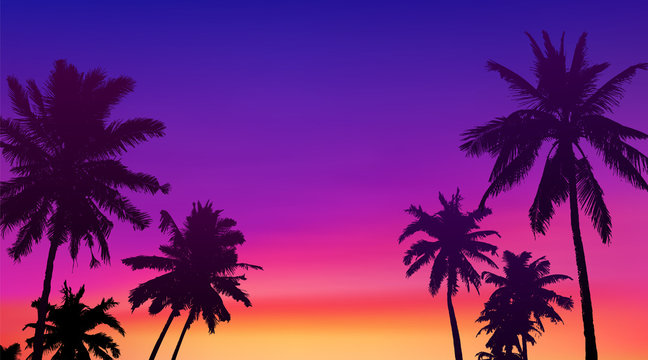 Black palm trees silhouettes at colorful sunset background, vector tropic banner illustration background