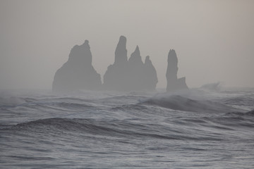 View from Vik beach during heavy storm with many gulls in the background, Iceland