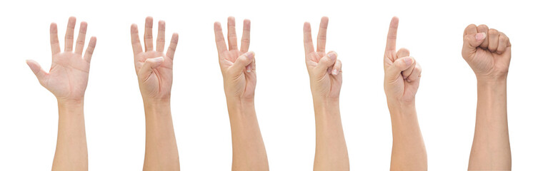 Hand isolated on white background, Hand counts from zero to five. with clipping path