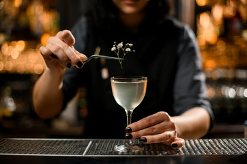 Professional female bartender decorated the murky transparent alcoholic cocktail drink with a twig...