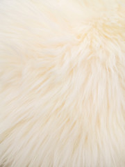 White soft wool texture background, cotton wool, light natural sheep wool, close-up texture of white fluffy fur