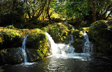 Waterfall of Ribera del Hueznar in the Sierra Norte Natural Park near the village of San Nicolas del Puerto, Seville province, Spain