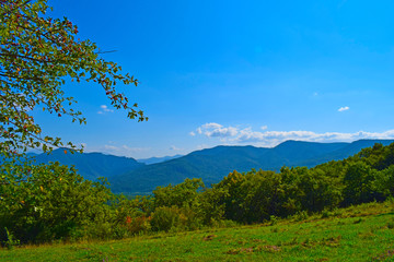 Green mountains and blue sky. Beautiful summer landscape with multilayered hills and forest. Rosehip branches in the foreground. Horizontal photo. Main Caucasian ridge, Adygea, Russia.
