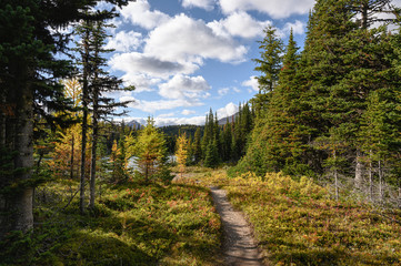 Fototapeta na wymiar Hiking trail with autumn forest and lake with blue sky in provincial park