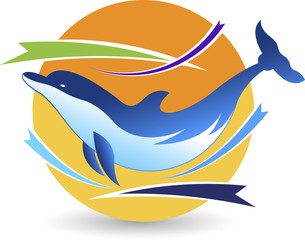 dolphin logo
