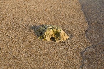 abstraction thrown out of the sea on the shore in the form of an image
