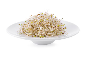 Sprouted alfalfa seeds in bowl on white background