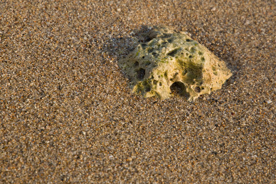 abstraction thrown out of the sea on the shore in the form of an image