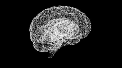 Close up image of human brain looking to be formed of spider web over black background.