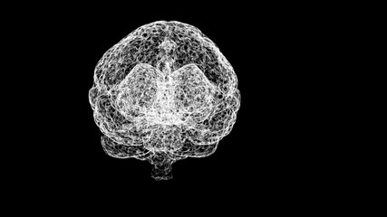 Rear view of white translucent brain hologram on black background.