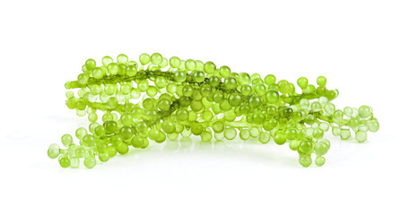 Sea grapes ( green caviar ) seaweed on white