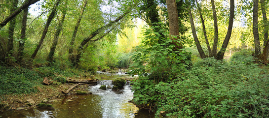 Ribera del Hueznar river in the Sierra Norte Natural Park near the village of San Nicolas del...