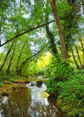 Ribera del Hueznar river in the Sierra Norte Natural Park near the village of San Nicolas del Puerto, Seville province, Spain