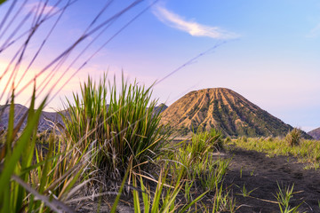 (Selective focus) Stunning view of the Mount Batok and the Mount Bromo illuminated during a...