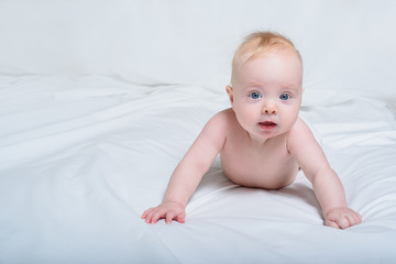 Baby lies on his tummy resting on his wrists. Happy look. White background, place for text.