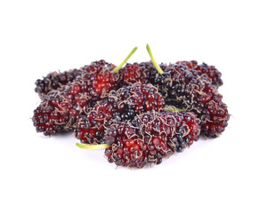 mulberry isolated on the white background