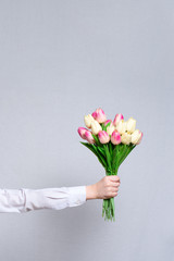 Bouquet of tulips in a children's hand. White background. Close-up