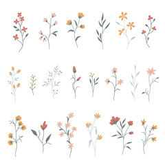 Set of 20 vector flowers and plants. Cute floral elements for save the date card. Unique artwork for your design.
