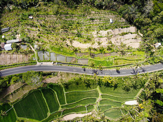 Drone photo of road among rice paddies in Bali