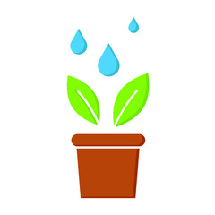 Watering process of plant. Vector illustration. Isolated object on a white background. Flat style.