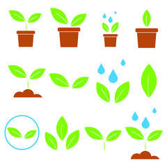 Set of plant icons. Vector illustrations. Isolated objects on a white background. Flat style.