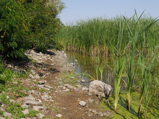 Dniester River in western Ukraine, near the Khotyn castle.