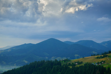 Obraz premium Sunset in carpathian mountains - beautiful summer landscape, spruces on hills, dark cloudy sky and bright sun light, meadow and wildflowers