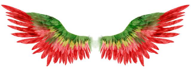Beautiful red green magic watercolor wings - obrazy, fototapety, plakaty