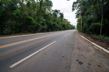 Fototapeta na wymiar Highway photographed in Linhares, Espirito Santo. Southeast of Brazil. Atlantic Forest Biome. Picture made in 2014.