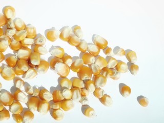 pills isolated on white background