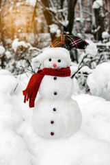 Snowman with cap and scarf in snowdrifts 