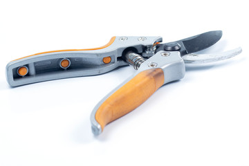 Orange  branch scissor