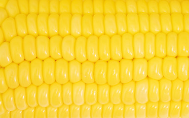 Fresh sweet corn seeds isolated on white background, texture pattern of corn seeds