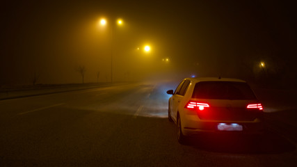 Fototapeta na wymiar road lighting poles and car headlight on a foggy night