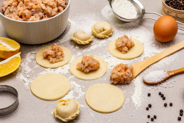 Fish dumplings. Ingredients for home cooking. Fresh dough, fish, spices, cooking equipment. Stone concrete background