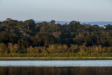 Macuco Lagoon photographed in Linhares, Espirito Santo. Southeast of Brazil. Atlantic Forest Biome. Picture made in 2014.